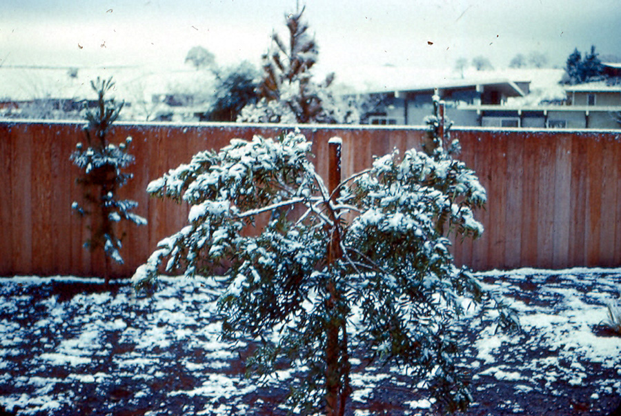 Box22 017 716 backyard of snow 62